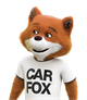 Car Fox